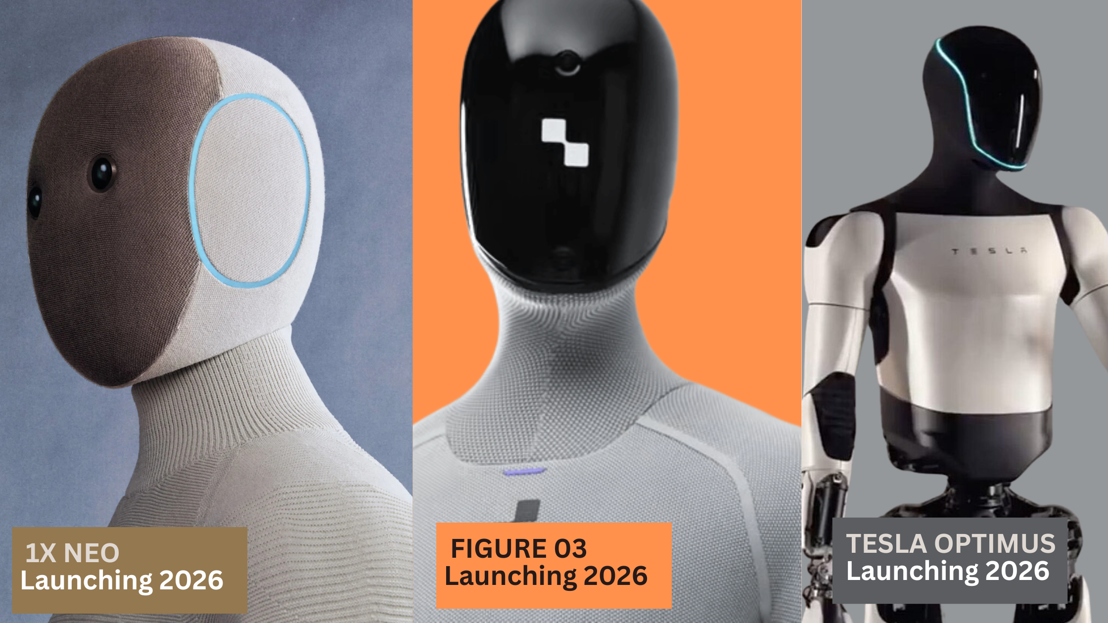Robots coming in 2026